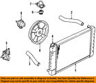 10170196 Gm Oem Radiator Coolant-lower