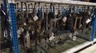 123538134 Mazda 08 09 3 Steering Gear Rack Pinion 68k Oem