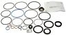 2079 Federated Steering Gear Seal Repair Kit