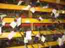 80149488 Dodge 13 14 15 16 Dart Steering Gear Rack Pinion 7k Oem