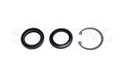 2647-520725 8401244 Sunsong North America Steering Gear Pitman Shaft Seal 889364059622