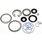 8902 Autozone Steering Gear Seal