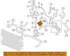 95072566 Gm Chevrolet Oem Spark Valve