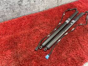 51247232004 Bmw F25 Rear Left And Right Side Liftgate Trunk Spindle Electric Shock Oem 72k