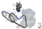 Bmw11287618848 Bmw Genuine Belt Steering Ribbed