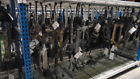 60196 Q50 171384814lkq Infiniti Power Steering Gear Rack Pinion Oem Lkq