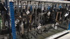 60126 Q50 183853982lkq Infiniti Power Steering Gear Rack Pinion Oem Lkq