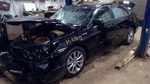 Steering Column Floor Shift Vin 5TH Digit Hybrid Fits 15-17 Camry 10268266. Fixed Price $135.90.