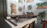 Steering Gear/rack 203 Type Power Fits 03-07 Mercedes C-class 3210859. Fixed Price $213.19.