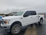 Passenger Right Front Knee Fits 18-20 Ford F150 Pickup 809253. Fixed Price $176.00.