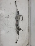 2024-2025 Subaru Impreza Rs Rack Pinion 34110FN095 *bent Tie Rod*. Fixed Price $332.50.