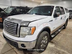 Power Steering Gear/rack And Pinion Electric Assist Fits 2011 Ford F150 1325449. Fixed Price $350.00.