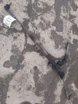 Steering Gear/rack Power And Pinion 00-04 Dodge Dakota 52106477AB. Fixed Price $202.99.