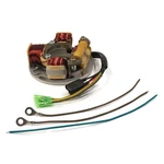 Stator Plate For Sea Doo 1993 Jetski Xp, Gts, Gtx, Sp, Spi, Explorer, Engine Gas. Fixed Price $39.99.