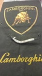 Lamborghini LP550 560 570 Power Steering Pump Line Oem 420422893F. Fixed Price $70.00.