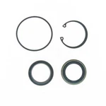 Steering Gear Pitman Shaft Seal Kit Edelmann 8783. Fixed Price $26.21.