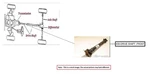 Front Drive Shaft Oem 14-18 Jeep Grandcher 1YR Wrnty 52123467AD. Fixed Price $110.00.