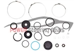 Power Steering Rack And Pinion Seal/repair Kit Fits Chrysler Lhs 1998-2001. Fixed Price $39.89.