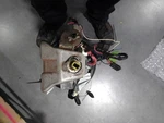Steering Column Shift Thru 4/3/06 Fits 04-06 Durango 649025. Fixed Price $103.99.