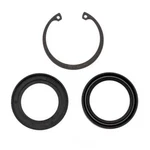 Steering Gear Pitman Shaft Seal Kit Edelmann 8784. Fixed Price $32.65.