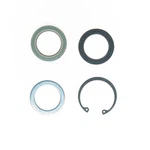 Edelmann 8717 Steering Gear Lwr Pitman Shaft Seal Kit. Fixed Price $19.99.