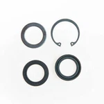 Steering Gear Pitman Shaft Seal Kit Edelmann 8530. Fixed Price $48.99.