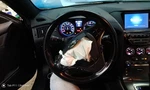 Genesis 2015 Steering Column 760205. Fixed Price $255.00.