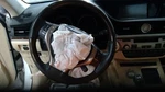 Steering Column Floor Shift Market Fits 13-16 Lexus ES300H 5575644. Fixed Price $195.00.