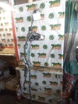 Steering Gear/rack Power And Pinion Rwd Fits 17-20 Infiniti Q60 3757392. Fixed Price $364.01.