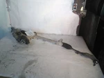 16-17 Mini Cooper Clubman Steering Gear/rack Power And Pinion. Fixed Price $350.44.