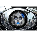 American Freedom Blue Sugar Skull Air Cleaner Insert Af-vtac-ssb. Fixed Price $139.99.