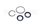 Steering Gear Pitman Shaft Seal Kit-diesel Sunsong North America 8401481. Fixed Price $18.43.