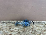 Infiniti Q50 Q60 2014-2024 Oem Adaptive Steering Column W/ Power Adjustment Assy. Fixed Price $74.95.