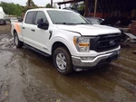Steering Gear/rack 141.0" Wb Fits 21-23 Ford F150 Pickup 62917. Fixed Price $239.20.