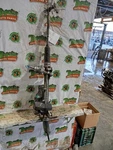 Steering Gear/rack Electric Power Hatchback Fits 17-21 Civic 3813141. Fixed Price $518.69.