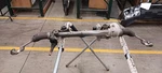 '21-'23 Ford F150 Steering Gear Box Rack Pinion 105K Miles Oem Year Wnty!. Fixed Price $505.50.