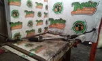 Steering Gear/rack Power And Pinion Prius Fits 12-19 3131772. Fixed Price $213.19.