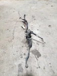 Steering Gear/rack Power Pinion Hydraulic Fits 2001-2003 Highlander Oem. Fixed Price $127.00.