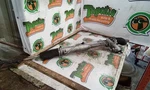 Steering Gear/rack Power And Pinion Coupe Awd Fits 07-13 Bmw 328I 3082069. Fixed Price $194.99.