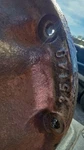 03-04 Toyota 4RUNNER Rear Differential 35140 Oem 3.91 Gear Ratio. Fixed Price $599.99.