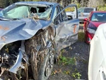 Used Steering Column Fits: 2020 Kia Sportage Conventional Ignition W/fog Lamps. Fixed Price $249.30.