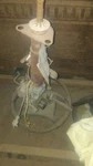 Steering Column Shift With Cruise Control Fits 97-98 Century 25920. Fixed Price $200.00.