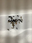 Miscellaneous Screws From 98 Ford Steering Column. Fixed Price $8.04.