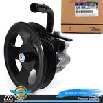 Genuine Power Steering Pump For 2001-2005 Hyundai XG300 XG350 Oem 5710039000. Fixed Price $246.28.