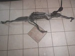 Steering Rack Pinion 68417276AB Fits 18-20 Grand Cherokee 4X4 3.6L 3129624. Fixed Price $880.00.