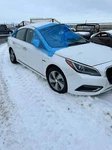 Used Steering Column Fits: 2016 Hyundai Sonata Korea Built Hybrid Market Grad. Fixed Price $172.36.