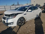 Steering Column Floor Shift Hybrid Fits 11-13 Optima 4274576. Fixed Price $202.98.