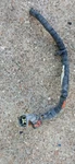 13-18 Dodge Ram 1500 Power Steering Gear Rack And Pinion Plug Connectors Wire. Fixed Price $79.00.