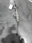 Used Rack And Pinion Assembly Fits: 2017 Acura Tlx Power Electri. Fixed Price $149.99.