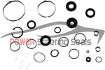 Power Steering Rack And Pinion Seal/repair Kit Fits Lincoln Ls 2000-2003. Fixed Price $59.89.